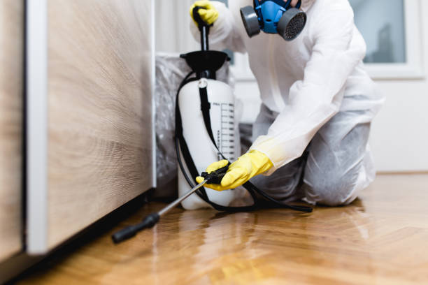 Best Local Pest Control Services  in Linwood, PA