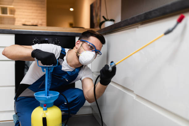 Best Wasp Removal Services  in Linwood, PA