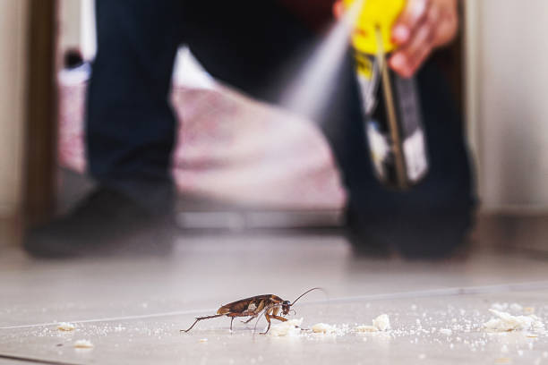 Best Pest Control Cost  in Linwood, PA