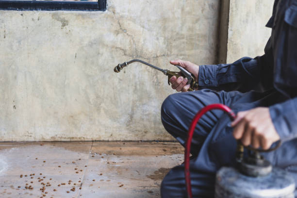 Best Affordable Pest Control Services  in Linwood, PA